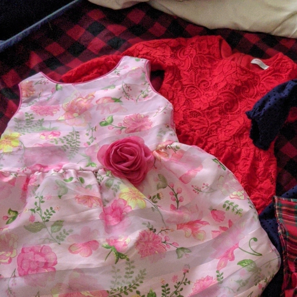 DRESS LOT - TODDLER GIRL 4 DRESSES SIZE 3T